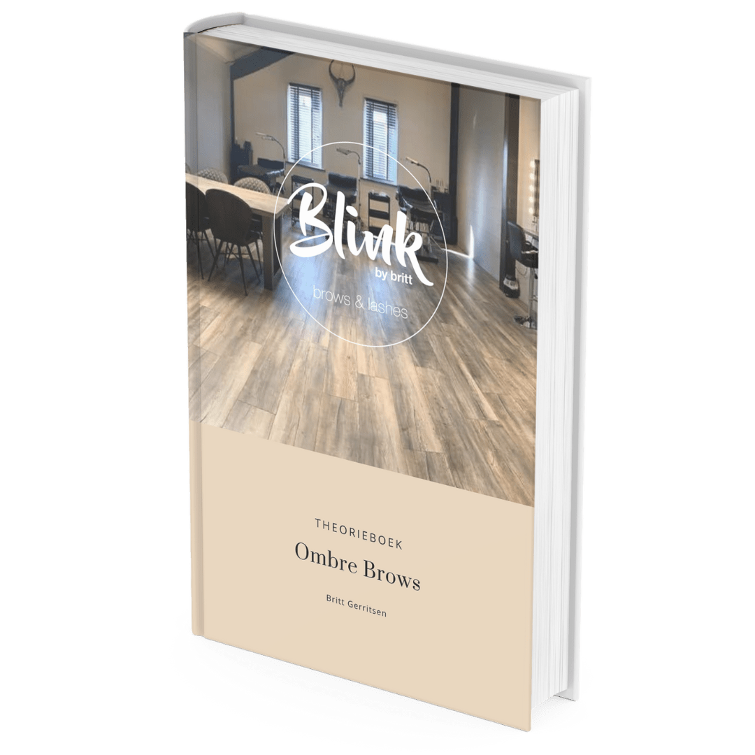 Theorieboek Blink by Britt